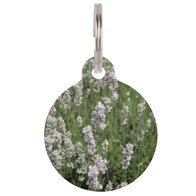 Melissa Lavender Pet Tag Huisdierpenning (Voorkant)