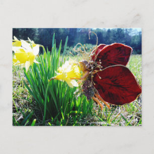 Melk in de Daffodils Briefkaart