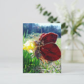 Melk in de Daffodils Briefkaart (Staand voorkant)