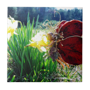 Melk in de Daffodils Tegeltje