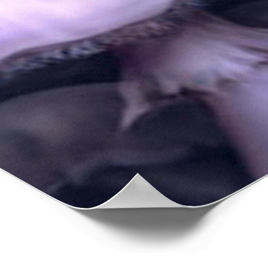 Melk met poster van paddenstoelen van 14.95 uur (Hoek)