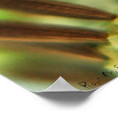 Melk Rays Poster (Hoek)