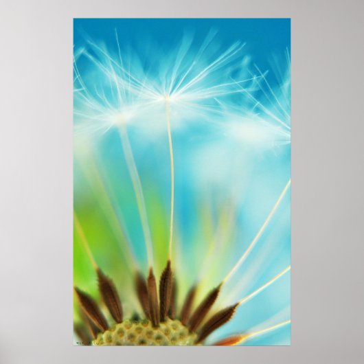 Melk Rays Poster (Voorkant)