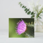 Melk Thistle Paarse Wilde Bloem Briefkaart (Staand voorkant)