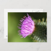 Melk Thistle Paarse Wilde Bloem Briefkaart (Voorkant / Achterkant)