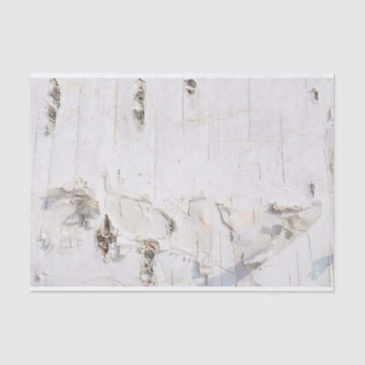 Melkbarstpatroon Tissuepapier (Voorkant)