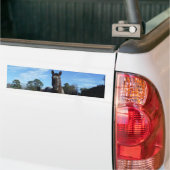 Melkchocolade bruinpaard in blauw bumpersticker (Op Truck)