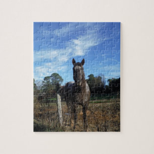 Melkchocolade bruinpaard in blauw legpuzzel