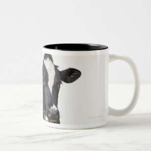 Melkkoe (Bos taurus) op witte achtergrond Tweekleurige Koffiemok