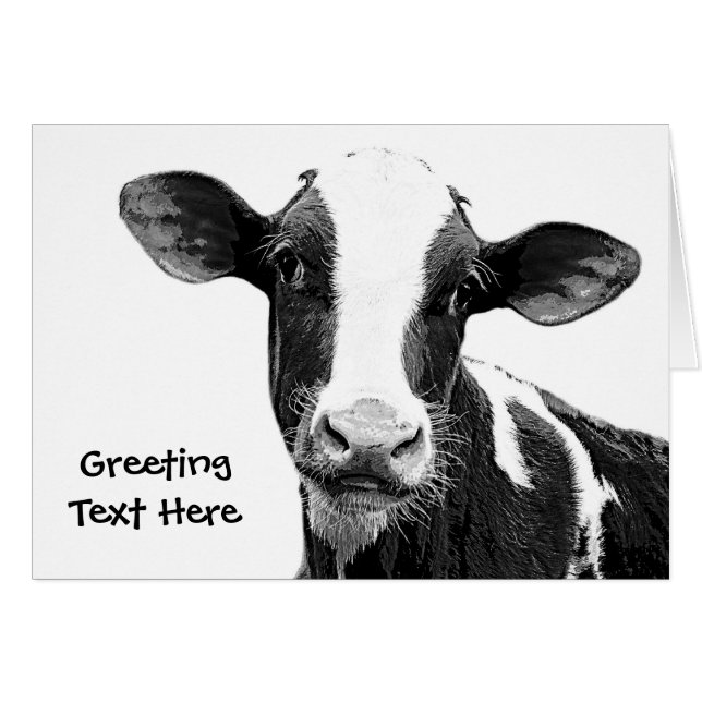 Melkkoe - Zwarte en witte zuivelkalf (Voorkant Horizontaal)