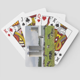 Melkkoeien en boerderij bij Taylor County Pokerkaarten