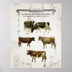 Melkkoeien  stijl oude roestkoeien poster