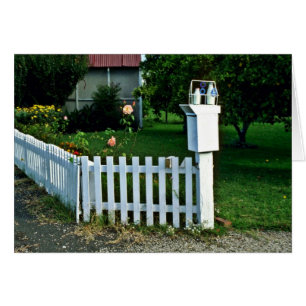Melklevering, Gisborne