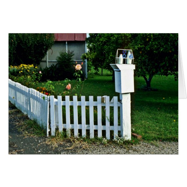 Melklevering, Gisborne (Voorkant Horizontaal)