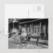 Melkleveringswagen, 1903 briefkaart (Voorkant / Achterkant)