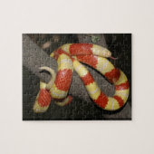 Melkslang Legpuzzel (Horizontaal)