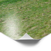 Melkvee op het Engelse platteland Foto Afdruk (Hoek)