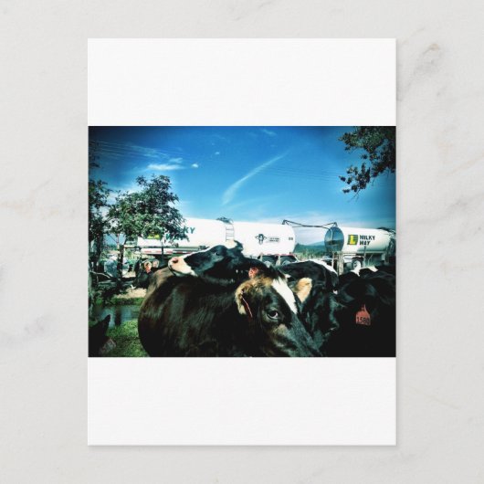 melkvrachtwagen briefkaart (Voorkant)