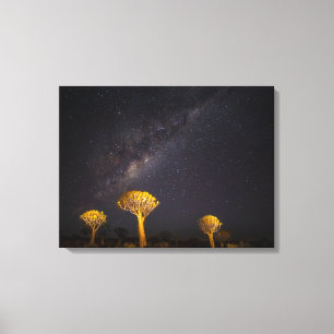 Melkweg Quiver Boom Keetmanshoop Namibië Canvas Afdruk