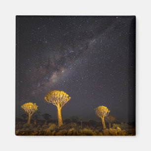 Melkweg Quiver Tree Keetmanshoop Namibië Magneet