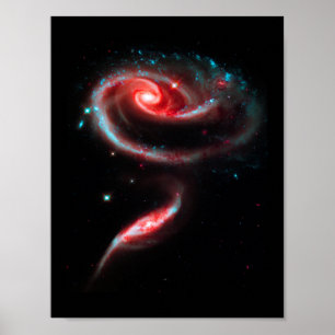 Melkweg Rose Rode Poster