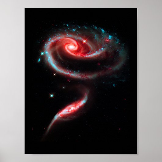Melkweg Rose Rode Poster (Voorkant)