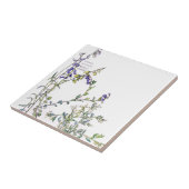 Melkwort Wildflower Flowers Tile Tegeltje (Zijkant)
