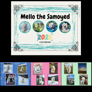 Mello the Samoyed 2026 Calendar Kalender