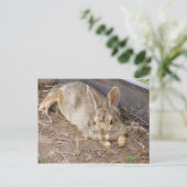 Mellow Bunny Briefkaart (Staand voorkant)