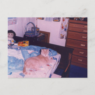Mellow Cat op een bed Briefkaart