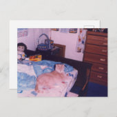 Mellow Cat op een bed Briefkaart (Voorkant / Achterkant)