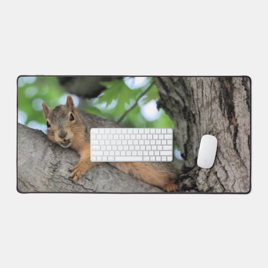 Mellow Fellow (Clavier et souris)