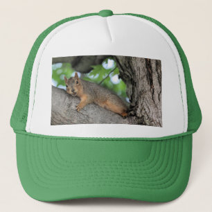 Mellow Trucker Pet