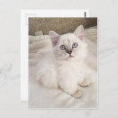 Melodie Briefkaart (Voorkant / Achterkant)