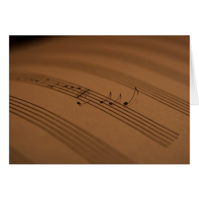 Melody (Voorkant Horizontaal)