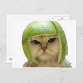 meloenkat briefkaart (Voorkant / Achterkant)