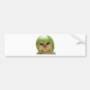 meloenkat bumpersticker