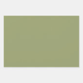 Melon & Basil Wrapping Paper Flat Sheet Set of 3 (Voorkant 3)