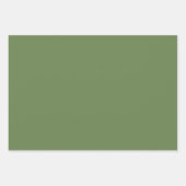 Melon & Lime Wrapping Paper Flat Sheet Set of 3 (Voorkant 3)