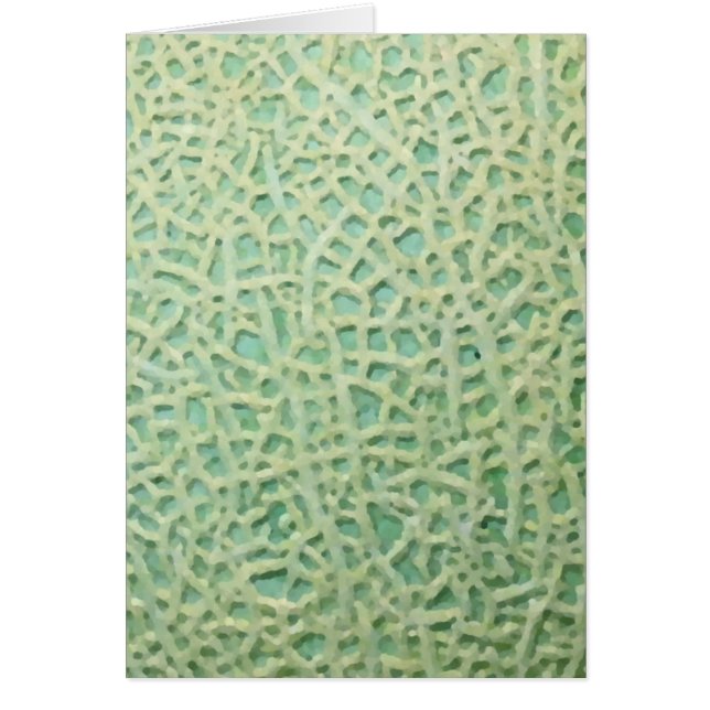 melon pattern (Devant)