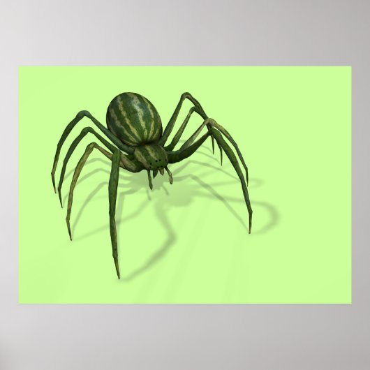 Melon Spider Poster (Voorkant)
