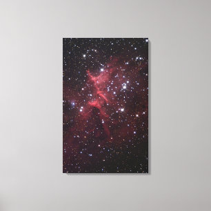 Melotte-15, Core Cluster van IC1805 Canvas Afdruk