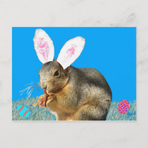Melvin Cottontail Briefkaart