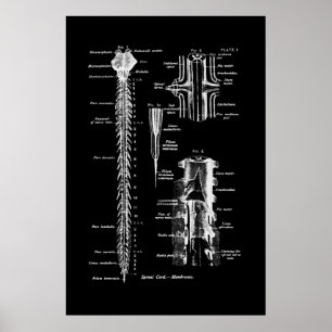 Membraan van de anatomie van het ruggenmerg poster