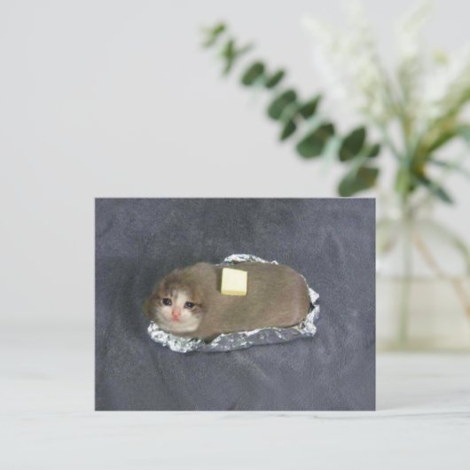 Mème de chat Butta sur carte postale (Debout devant)