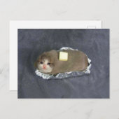 Mème de chat Butta sur carte postale (Devant / Derrière)