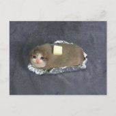 Mème de chat Butta sur carte postale (Devant)