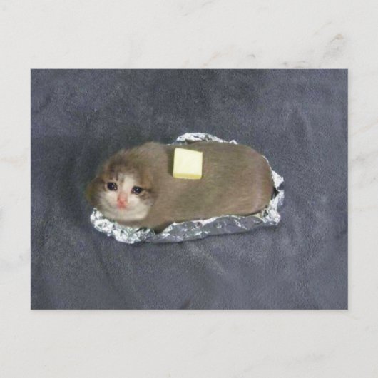 Mème de chat Butta sur carte postale (Devant)