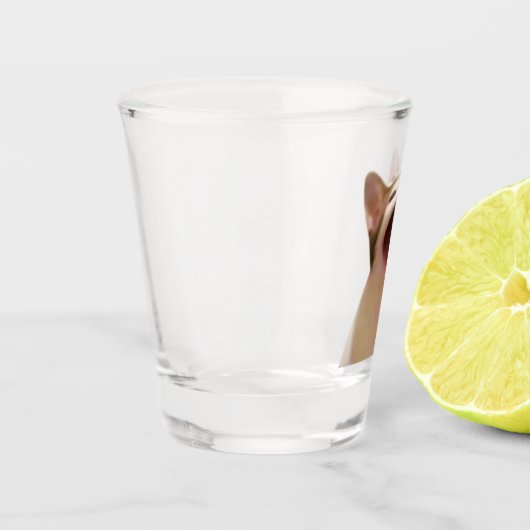 Mème de chat de chats en verre (Gauche)