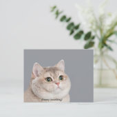 Mème de chat haletant sur carte postale (Debout devant)